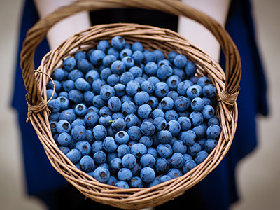 蓝莓可以一天吃一盒吗 蓝莓的功效与作用