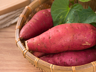 发了芽的红薯能不能吃 红薯不能和什么一起吃