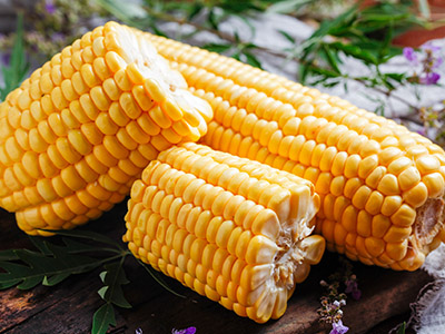 玉米的功效与作用及营养价值 吃玉米有什么好处